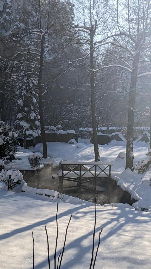 דירות זלקאו  Agroturystyka Spa מראה חיצוני תמונה